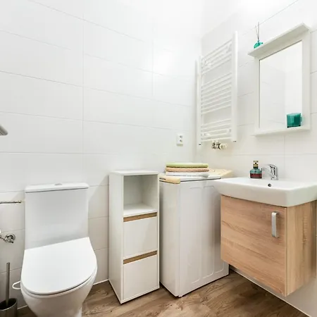 2 In A Family House Near The Center Апартаменты Нови-Йичин